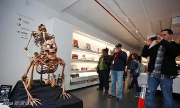 美国纽约性爱骷髅展：各种性姿态