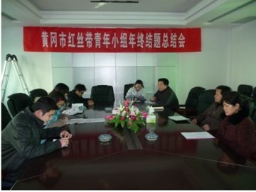 湖北省黄冈市举办NGO艾滋病项目年终总结会