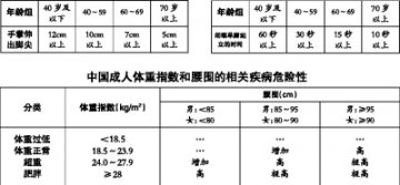 自我测试与评价