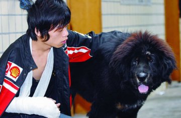身中3刀藏獒咬退3名劫匪救下主人