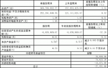 杭州天目山药业股份有限公司2005第一季度报告（节录）