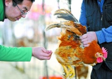 武汉64家医疗机构启动发热门诊 5小时确诊H7N9