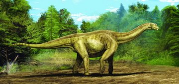《地质通报》：山东诸城发现古生物足迹群