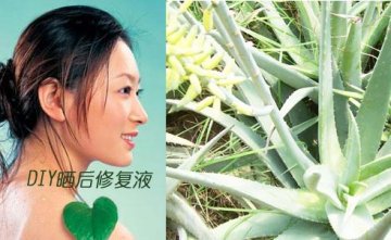 教你DIY四款晒后修复面膜
