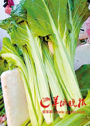 放射物含量极微 辐射雨不用防 猪乸菜可照吃