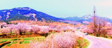 探访文登长寿村