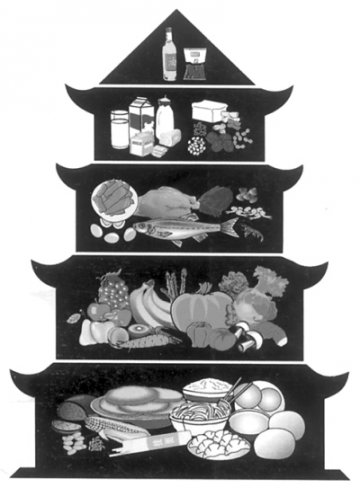 新“宝塔”图增加了运动和饮水内容