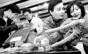 中药鉴别科普馆亮相
