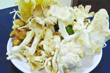 台农过量食菇致肾病恶化