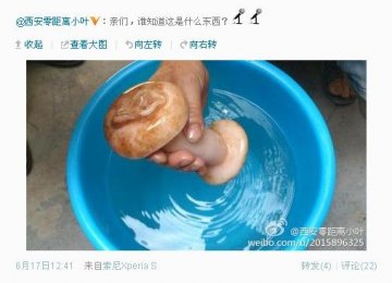 记者误将男用自慰器认作灵芝