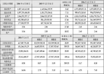 武汉人福高科技产业股份有限公司2006年中期报告（节录）