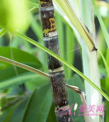 春季饮食：这五种水果要少吃