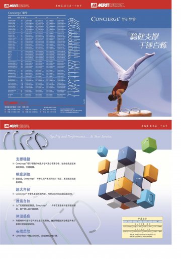 导引导管-CONCIERGE官方高清创意广告()