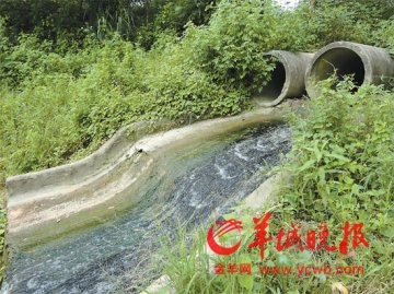 重病巴江河危及广州水
