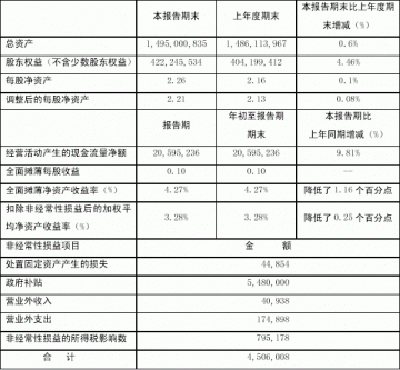 东盛科技股份有限公司2005年第一季度报告全文（节录）