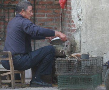 传“鼠干”补肾受欢迎 老鼠真的能吃吗 (1/10)