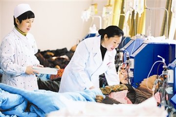 “白玉”无瑕品自高