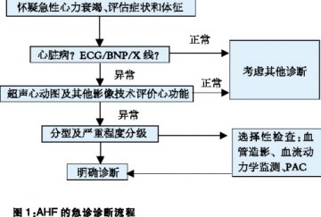 急性心力衰竭的急诊诊治流程