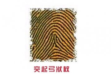 指纹竟决定你的爱情