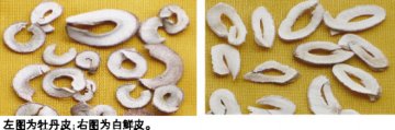 牡丹皮酚香 白鲜皮有膻气
