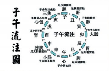 中医子午流注 提示睡眠最佳时间