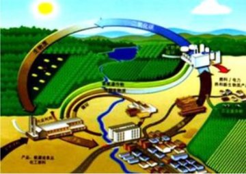 湘鄂情研发生物质能技术创新绿色新能源