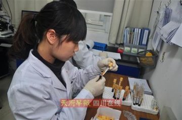 医院开放实验室揭秘试管婴儿 暗箱操作生死各半