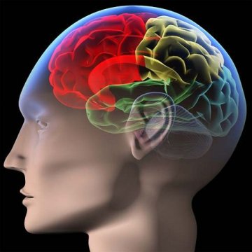 影响未来的10大发明：让全世界人都有饭吃