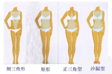 2.4大类身材，你属于哪一种？