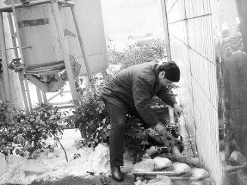 雪灾也要保障药品供应