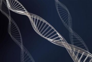 谁在不知不觉间偷走了我们的头发？