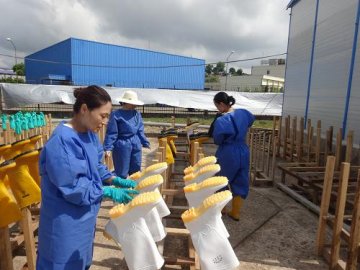 中国人民解放军医疗队利比里亚抗埃 “满月”成绩斐然