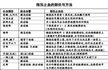 你会指压止血吗