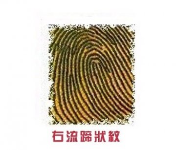 右手食指透露你的爱情秘密