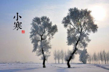 图说二十四节气 美到令人窒息
