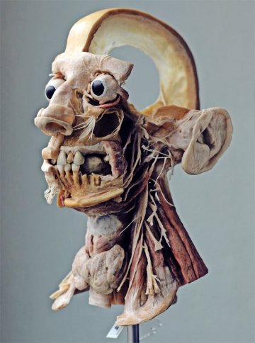 死亡博士塑化博物馆