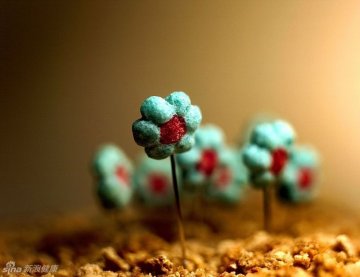4.谷物早餐的奇妙世界