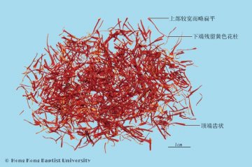 西红花（Xihonghua）中药材鉴别相册