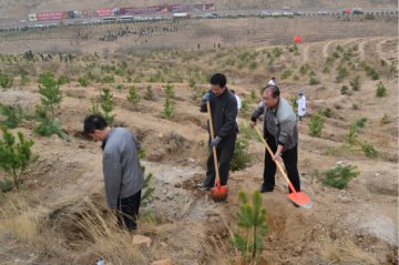 市精神康复医院参加全市义务植树活动