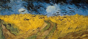 色盲眼中的世界