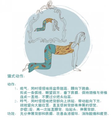 8式居家脊柱修复瑜伽