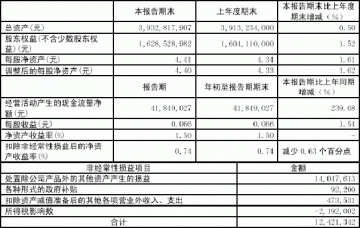 天津中新药业集团股份有限公司2005第一季度报告（节录）