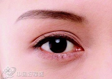 日本专家培养出立体视网膜组织 视网膜再生不是梦