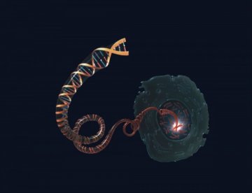 科学家首次绘制出了人类疾病全球图谱