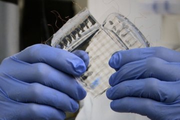 美科学家研制可拉伸触感材料 将可制人造皮肤
