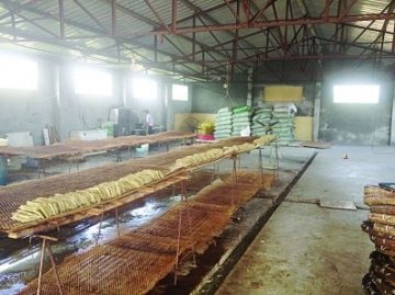 豆制品黑作坊藏身养猪场内