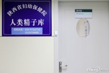 实拍人类精子捐赠全过程
