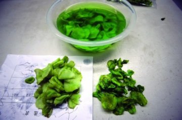 南京市民举报染色莴笋 侵泡后残液碧绿异常