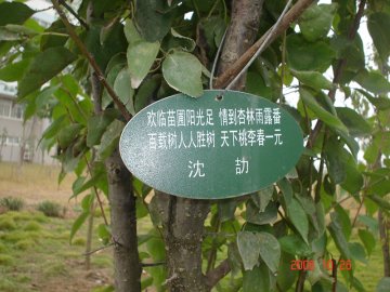 创建和谐校园环境推进学校持续发展
