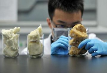 包子馒头加明矾 “红杏”等13家餐企被查